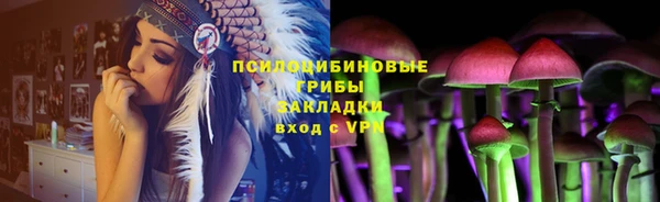 кокс Алзамай