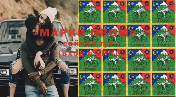 шишки Аркадак