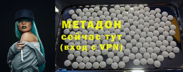 шишки Аркадак